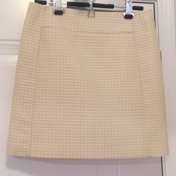 Ann Taylor Loft Skirt - Picture 4 of 4
